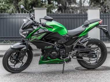 2015-2016 Kawasaki Z250/Z300 Motorcycle Fairing Kits - Green Matte Black