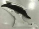 White 08-16 Yamaha YZF R6 Motorcycle Fairings White 08-16 Yamaha YZF R6 Motorcycle Fairings