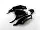 Black Green 12-21 Kawasaki ZX14R ZZR1400 Motorcycle Fairings Black Green 12-21 Kawasaki ZX14R ZZR1400 Motorcycle Fairings