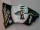 Black West Ninja 00-02 Kawasaki ZX6R Motorcycle Fairings Black West Ninja 00-02 Kawasaki ZX6R Motorcycle Fairings