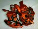 Brown Black 04-05 Honda CBR1000RR Motorcycle Fairings Brown Black 04-05 Honda CBR1000RR Motorcycle Fairings