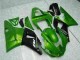Green 00-01 Yamaha YZF R1 Motorcycle Fairings Green 00-01 Yamaha YZF R1 Motorcycle Fairings
