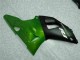 Green 00-01 Yamaha YZF R1 Motorcycle Fairings Green 00-01 Yamaha YZF R1 Motorcycle Fairings