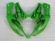 Green 05-06 Suzuki GSXR 1000 Motorcycle Fairings Green 05-06 Suzuki GSXR 1000 Motorcycle Fairings
