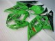 Green 05-06 Suzuki GSXR 1000 Motorcycle Fairings Green 05-06 Suzuki GSXR 1000 Motorcycle Fairings
