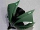 Green 06-07 Yamaha YZF R6 Motorcycle Fairings Green 06-07 Yamaha YZF R6 Motorcycle Fairings