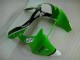 Green Black 00-02 Kawasaki ZX6R Motorcycle Fairing & Bodywork