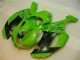 Green Black Dunlop 07-08 Kawasaki ZX6R Motorcycle Fairings Green Black Dunlop 07-08 Kawasaki ZX6R Motorcycle Fairings