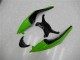 Green Black Red 09-12 Kawasaki ZX6R Motorcycle Fairings