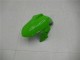 Green Black Silver 13-16 Kawasaki EX300 Motorcycle Fairings Green Black Silver 13-16 Kawasaki EX300 Motorcycle Fairings
