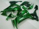 Green Flame 08-10 Kawasaki ZX10R Motorcycle Fairings Green Flame 08-10 Kawasaki ZX10R Motorcycle Fairings