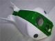 Green White 04-05 Honda CBR1000RR Motorcycle Fairings
