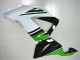 Green White Black 13-18 Kawasaki ZX6R Motorcycle Fairings