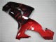 Red Flame 06-07 Kawasaki ZX10R Motorcycle Fairings Red Flame 06-07 Kawasaki ZX10R Motorcycle Fairings