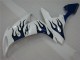 White Blue Flame 04-06 Yamaha YZF R1 Motorcycle Fairings